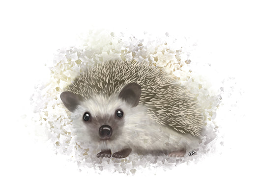 Hedgehog