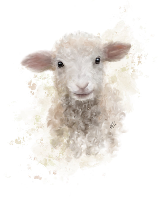 Lamb