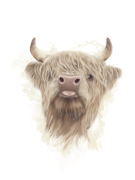 Highland Coo  III
