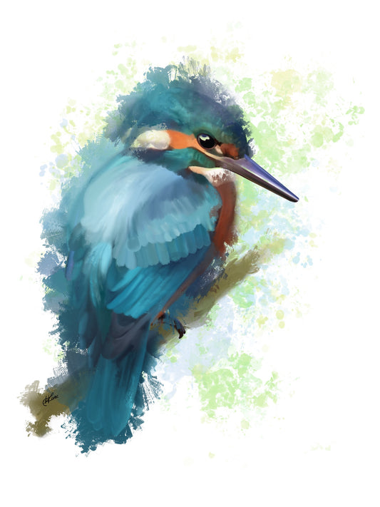 Kingfisher