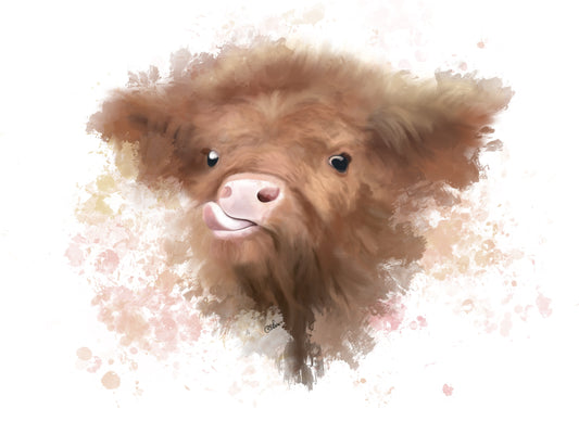 Highland Calf