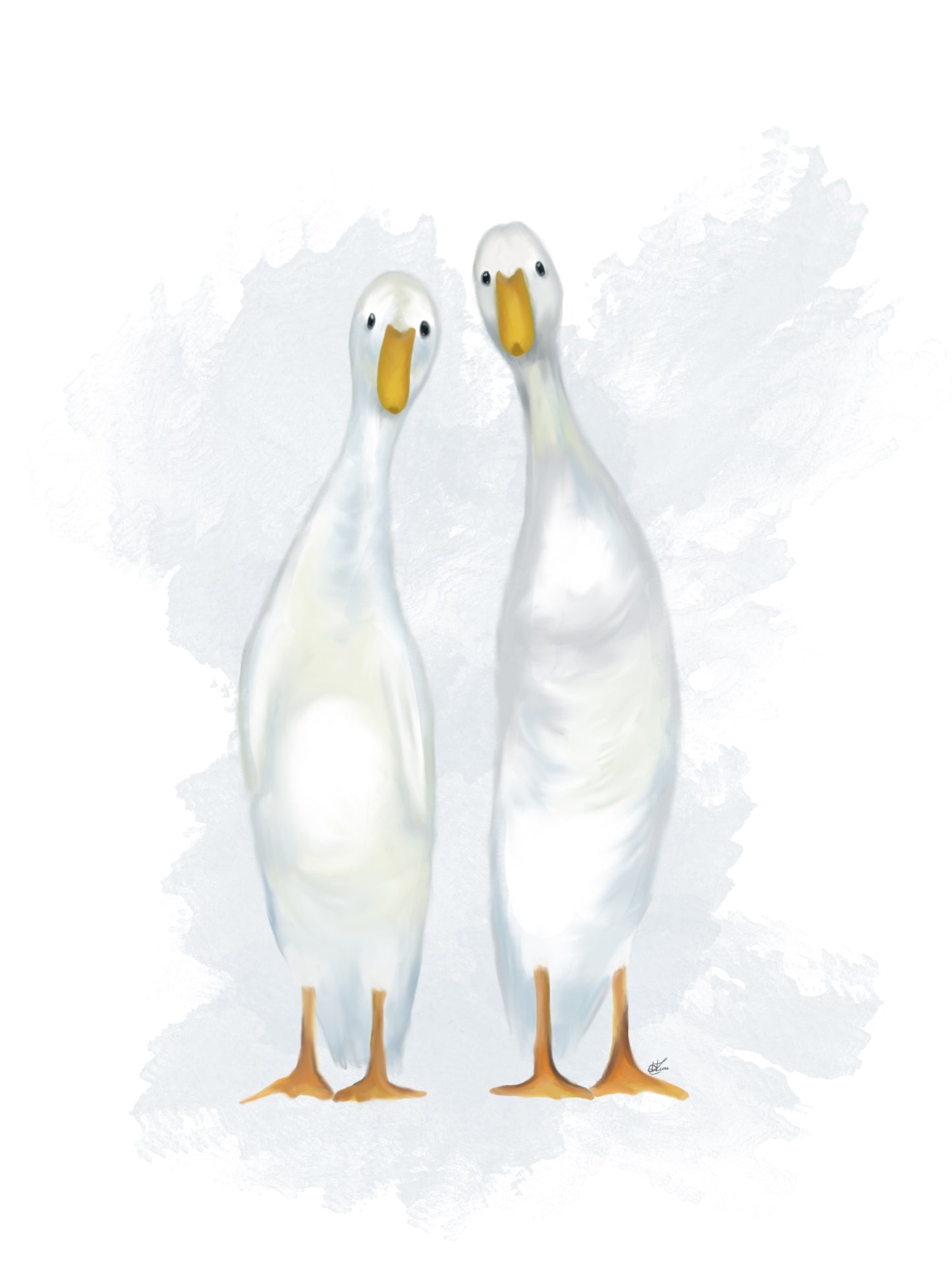 Runner Ducks