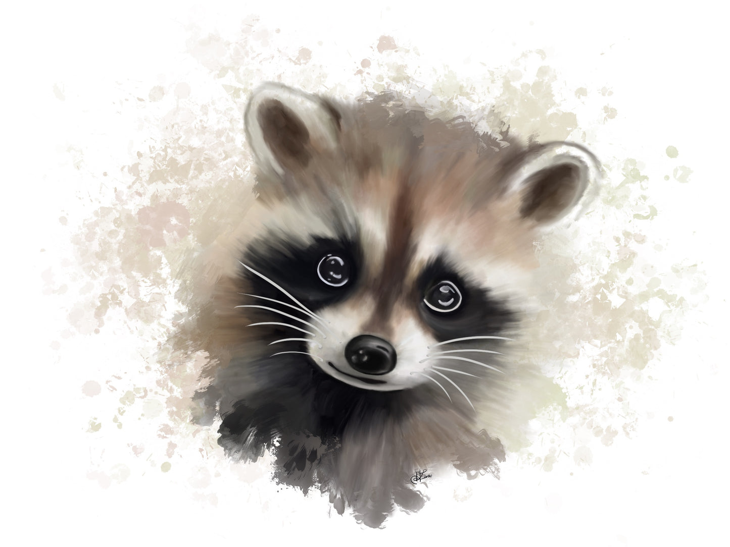 Raccoon
