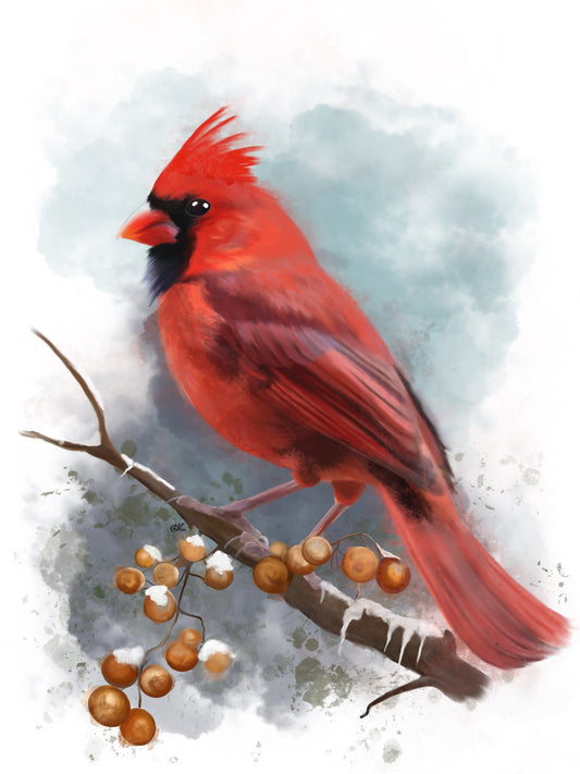Cardinal