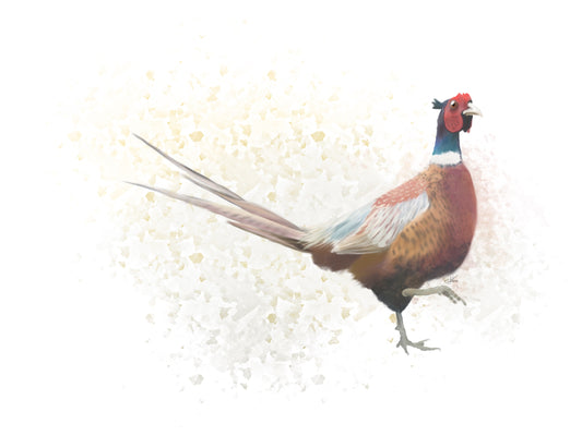 Pheasant