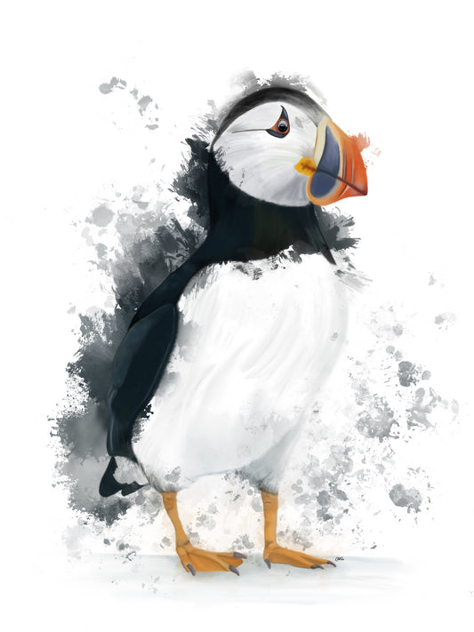 Puffin
