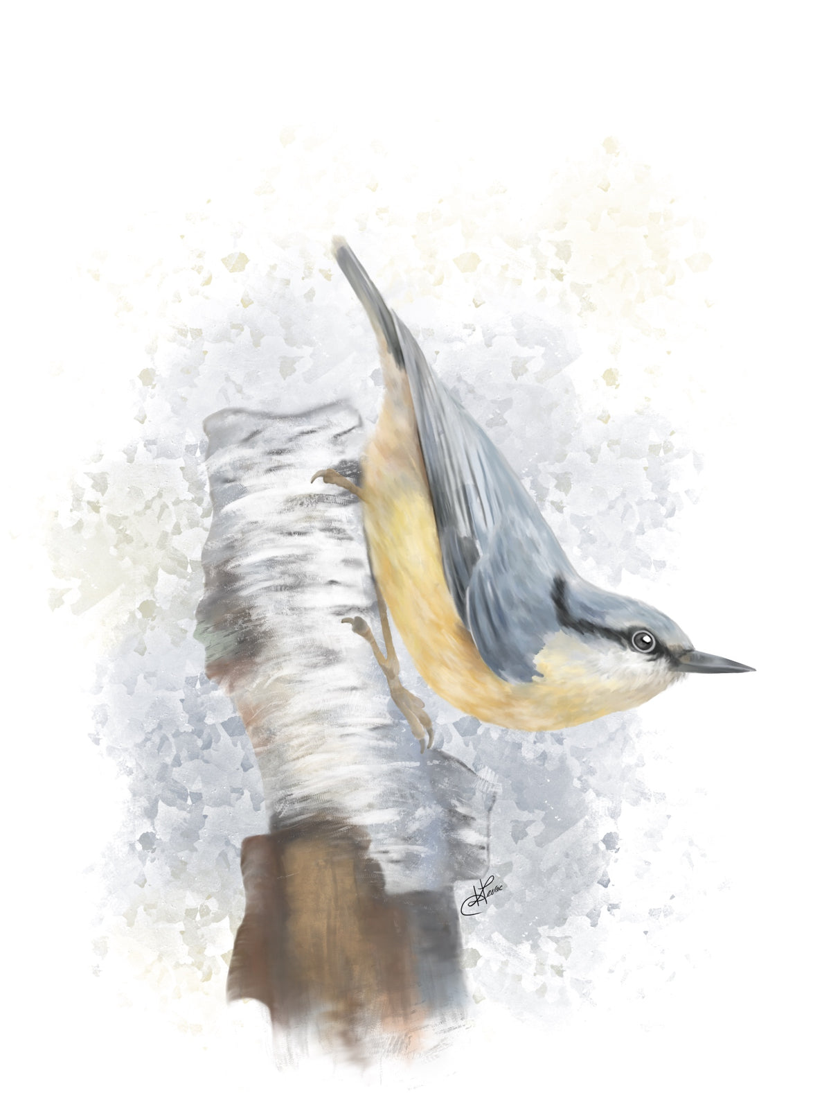 Sticker | Nuthatch