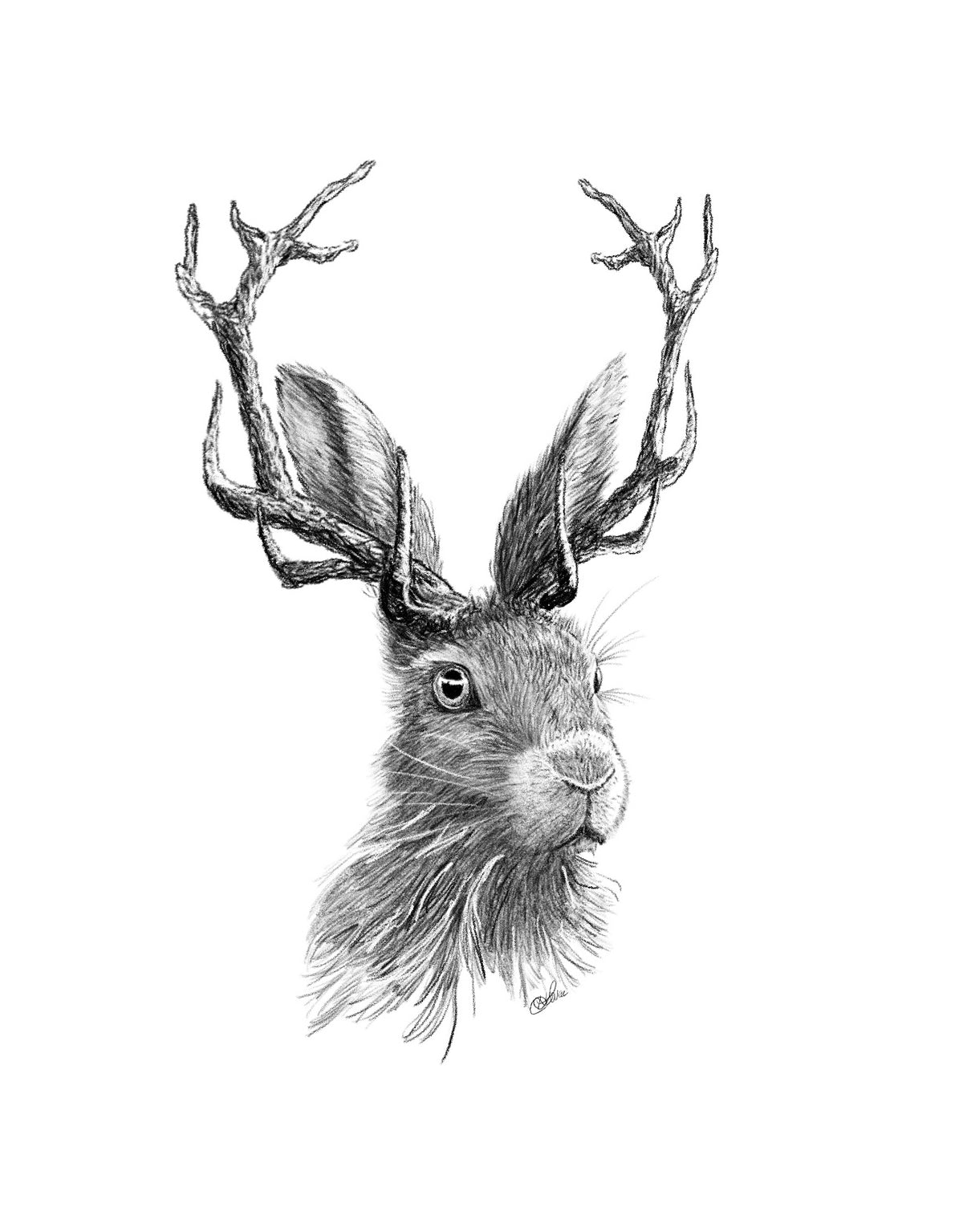 Jackalope