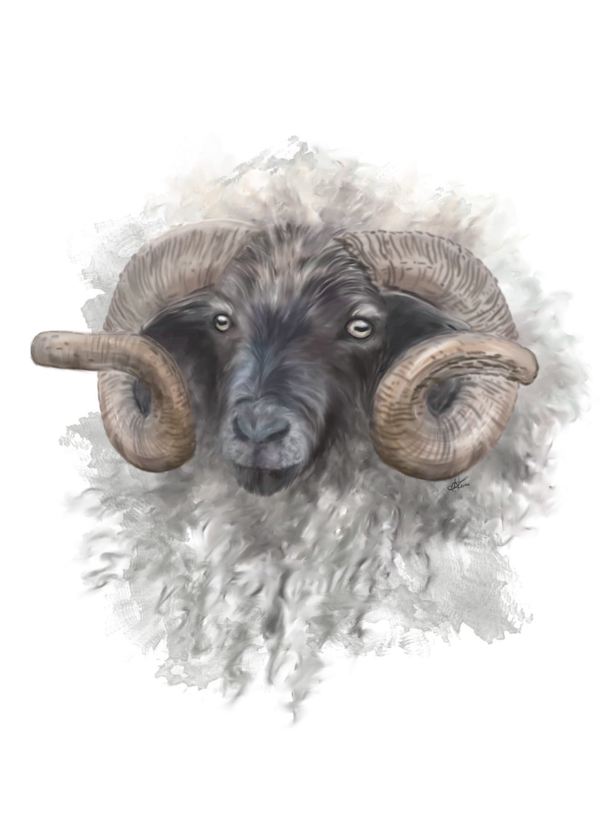 Ram