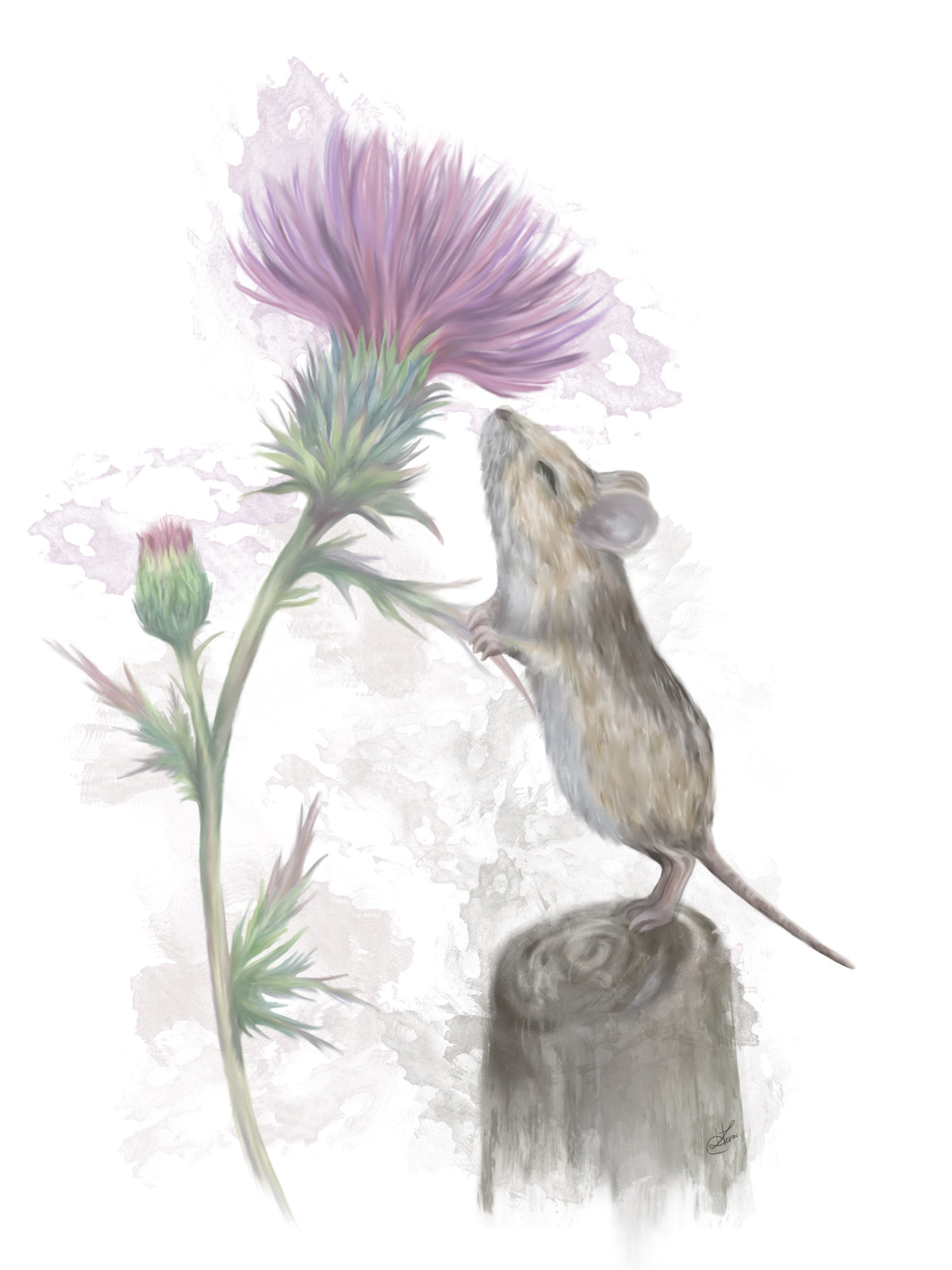 Mouse & Thistle