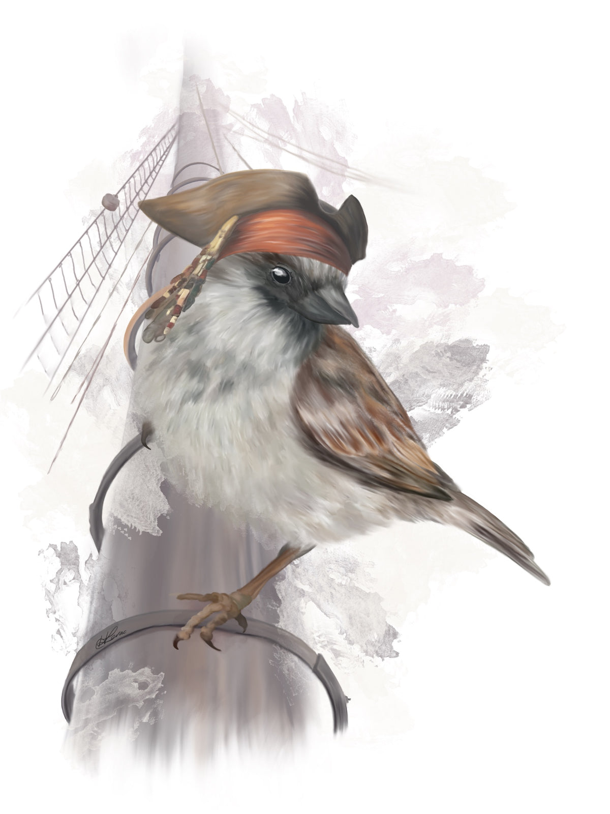 Sparrow named Jack