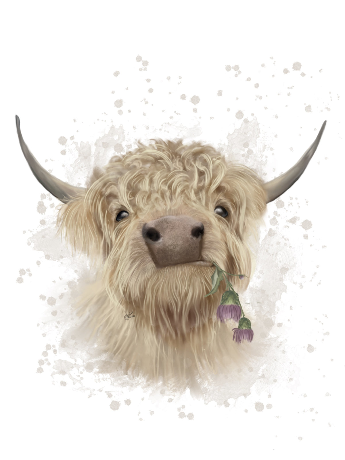 Coo & Thistle