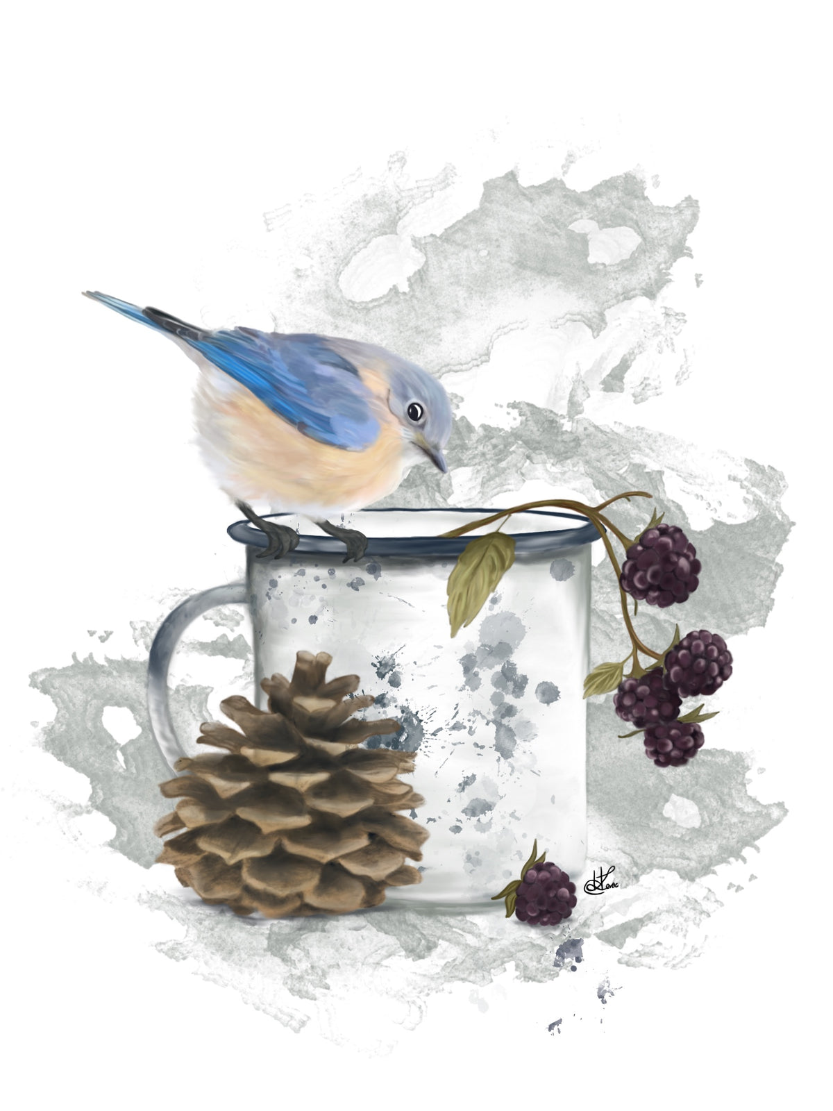 Bluebird & Blackberries