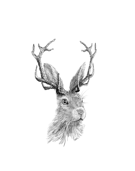 Jackalope Sketch