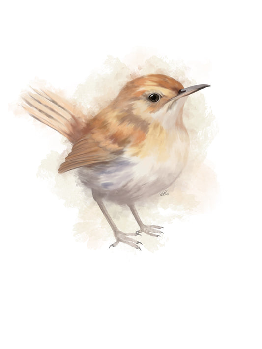 Wren