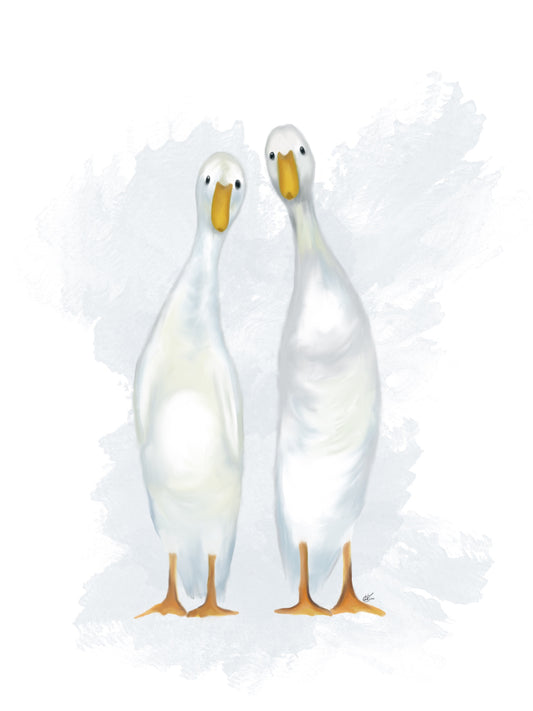 Runner Ducks