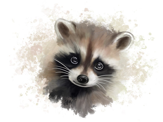 Raccoon