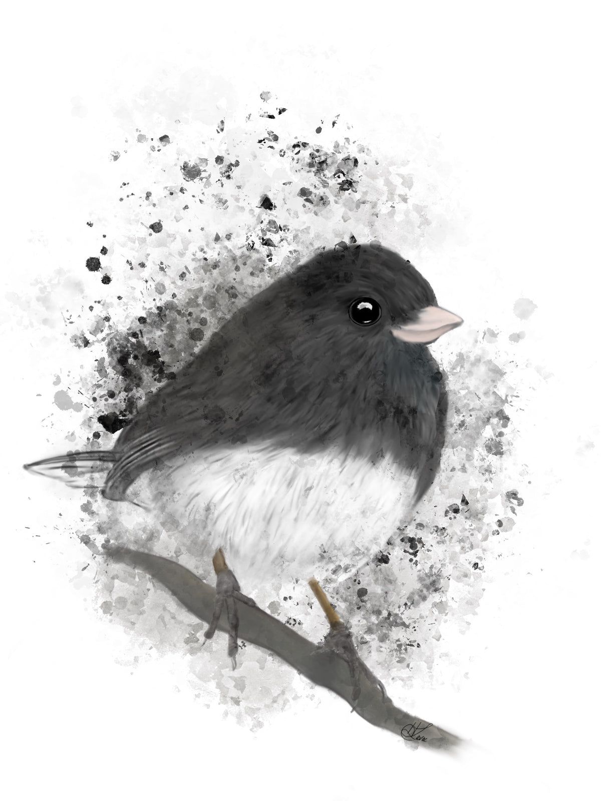 Sticker | Junco