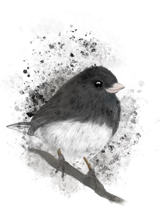 Sticker | Junco