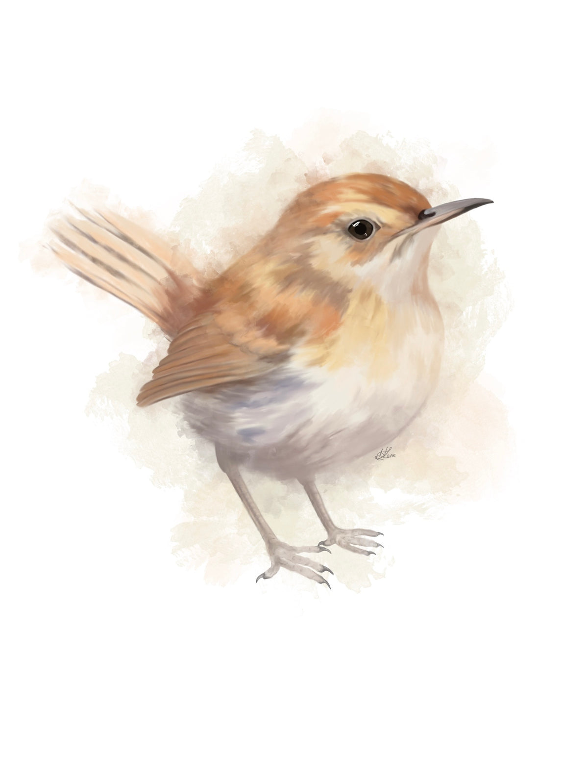 Sticker | Wren