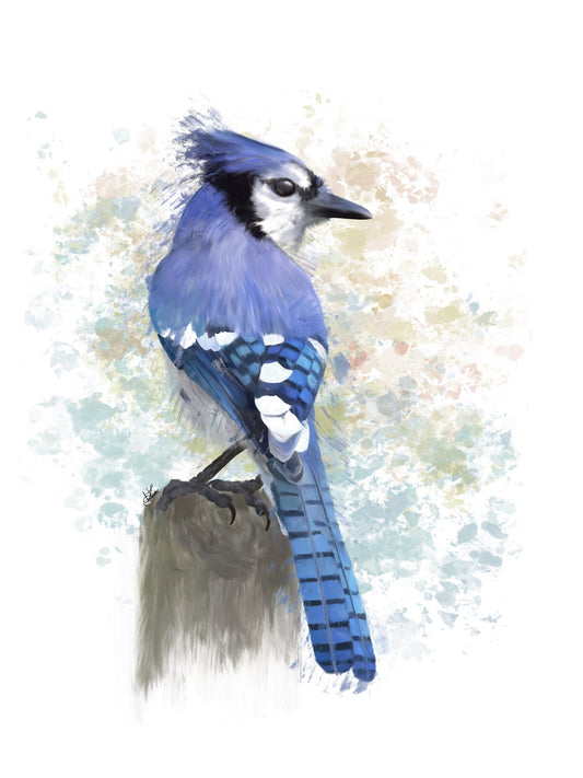 Sticker | Blue Jay