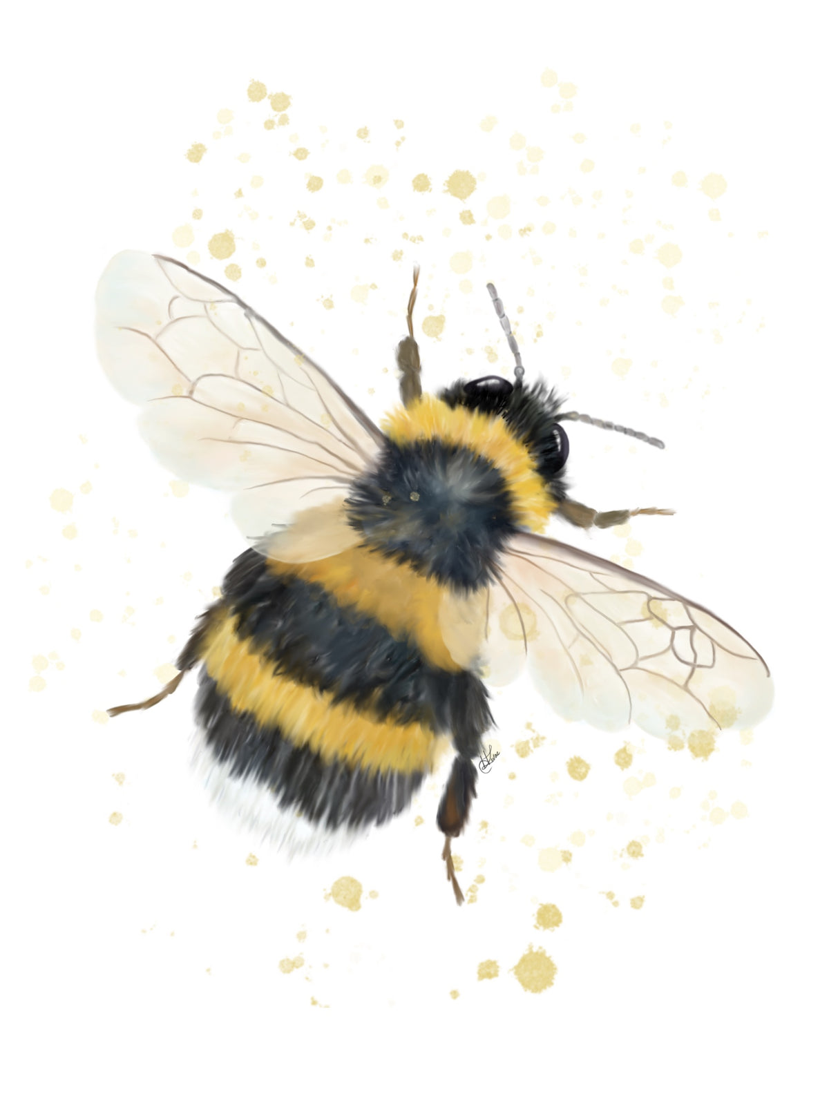 Bumblebee