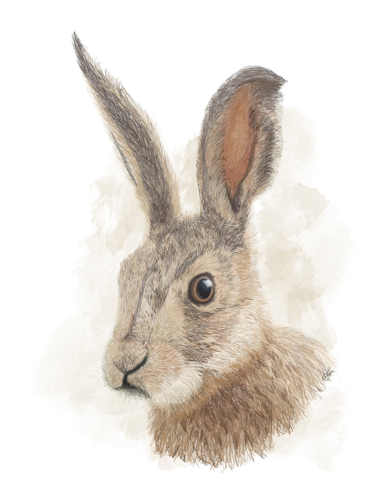 Sticker | Hare