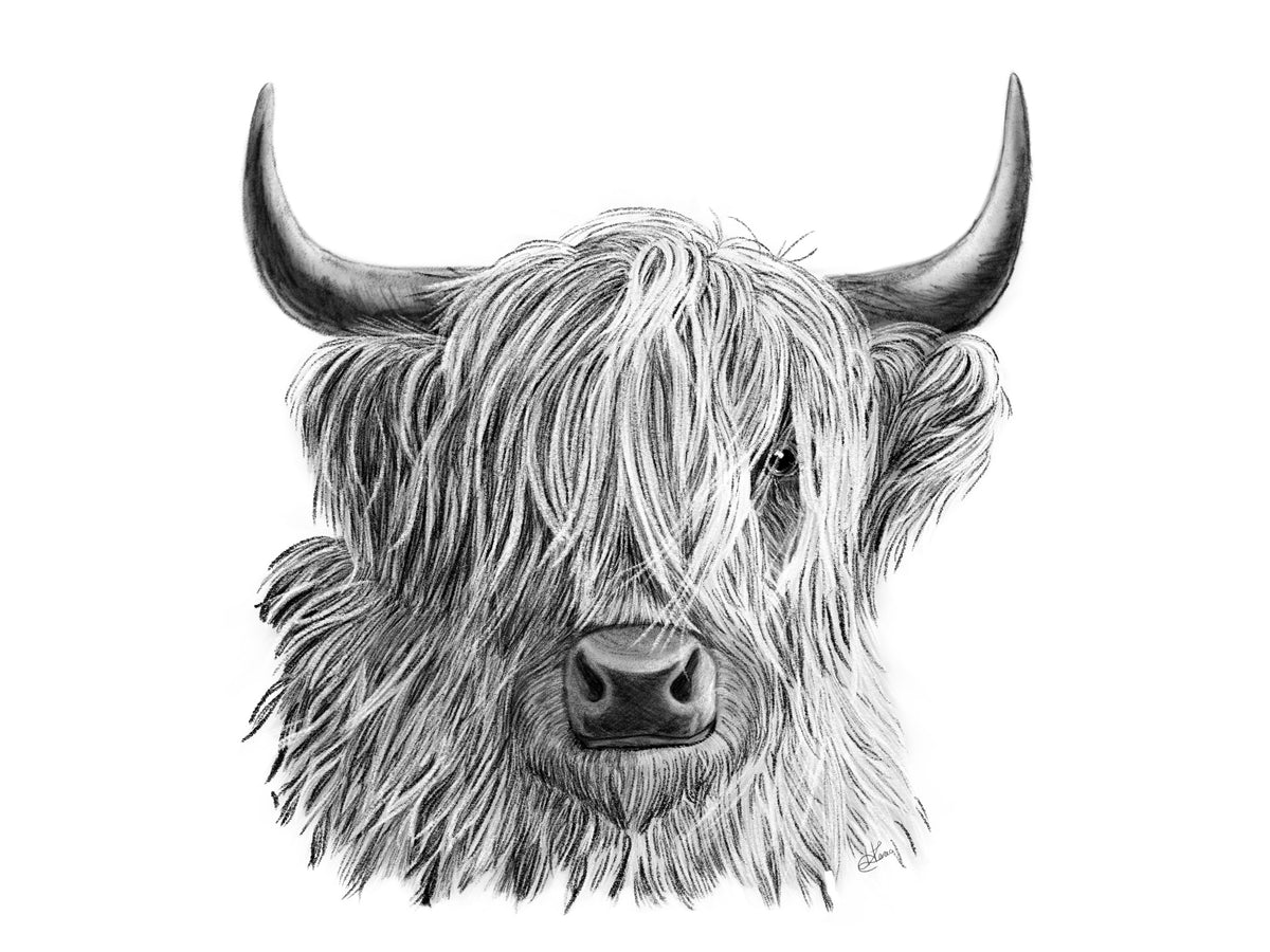 Coo Sketch