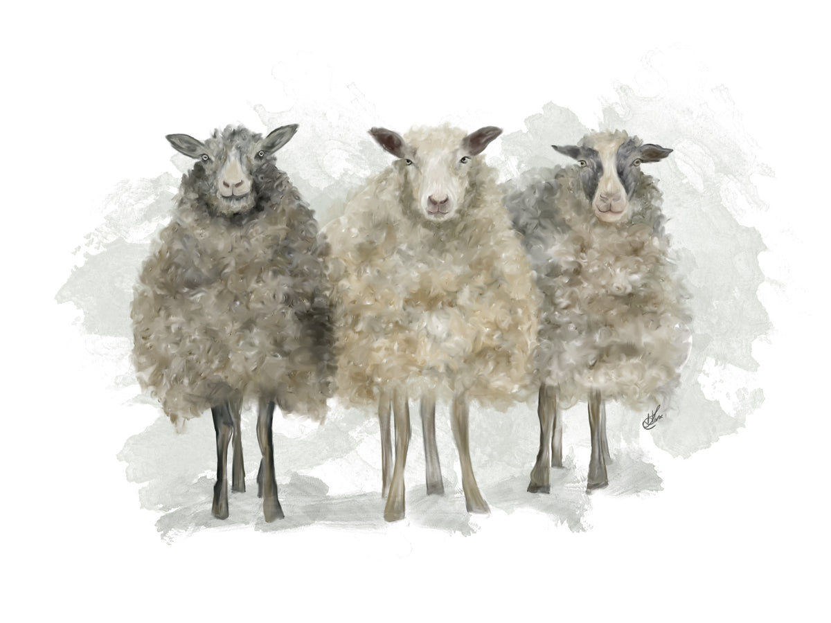 Sheeps!