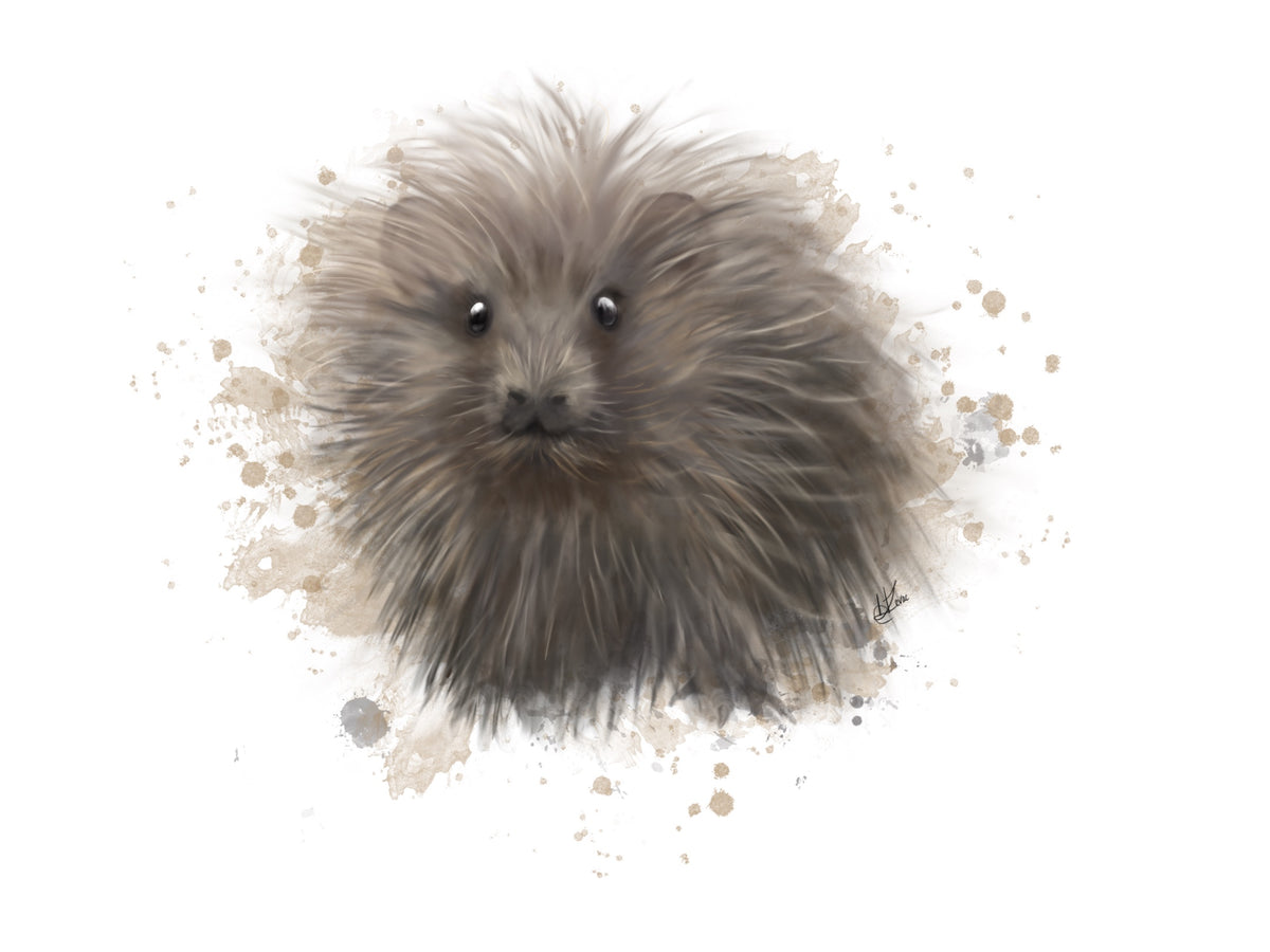 Wild Haggis